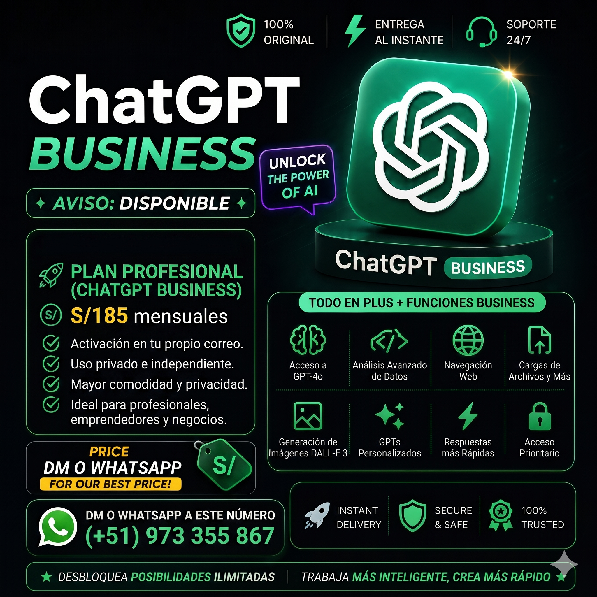 PLAN PROFESIONAL (CHATGPT BUSINESS)