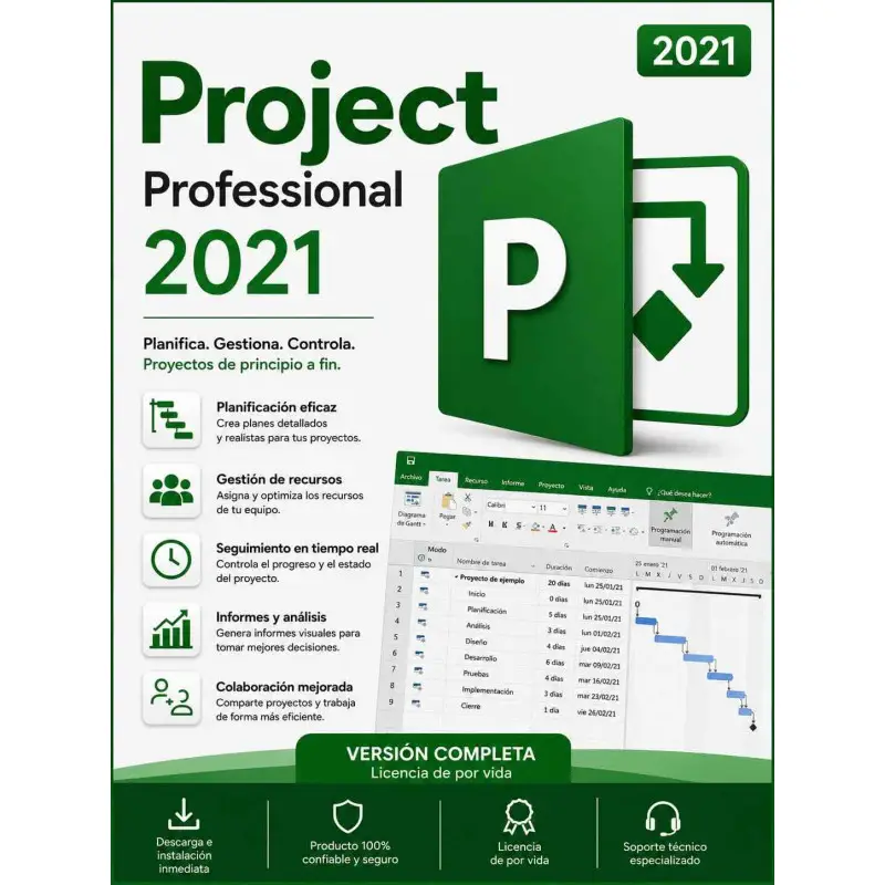 Project 2021 Professional