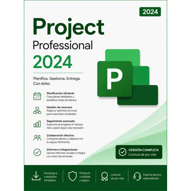 Project 2024 Professional 1 PC [BIND] De x Vida
